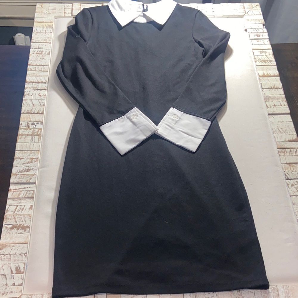 Venus Classic Black and White Collared Dress Wednesday Adam’s Size 8